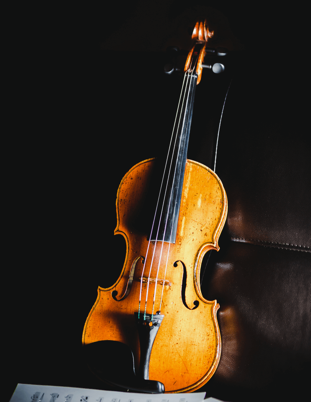 il violino che non suona | Daniela Chiocciolini | Flickr